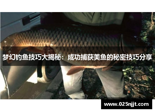梦幻钓鱼技巧大揭秘：成功捕获美鱼的秘密技巧分享